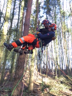 Aerial Tree Rigging Course (CS41)